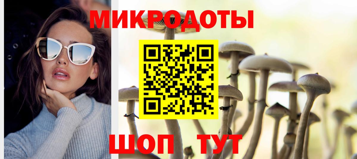 Псилоцибиновые грибы мухоморы Серпухов